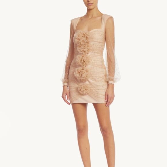 Badgley Mischka Party Crystal-Embellished Mini Dress Blush Size 2 NWT $595 - Picture 3 of 7